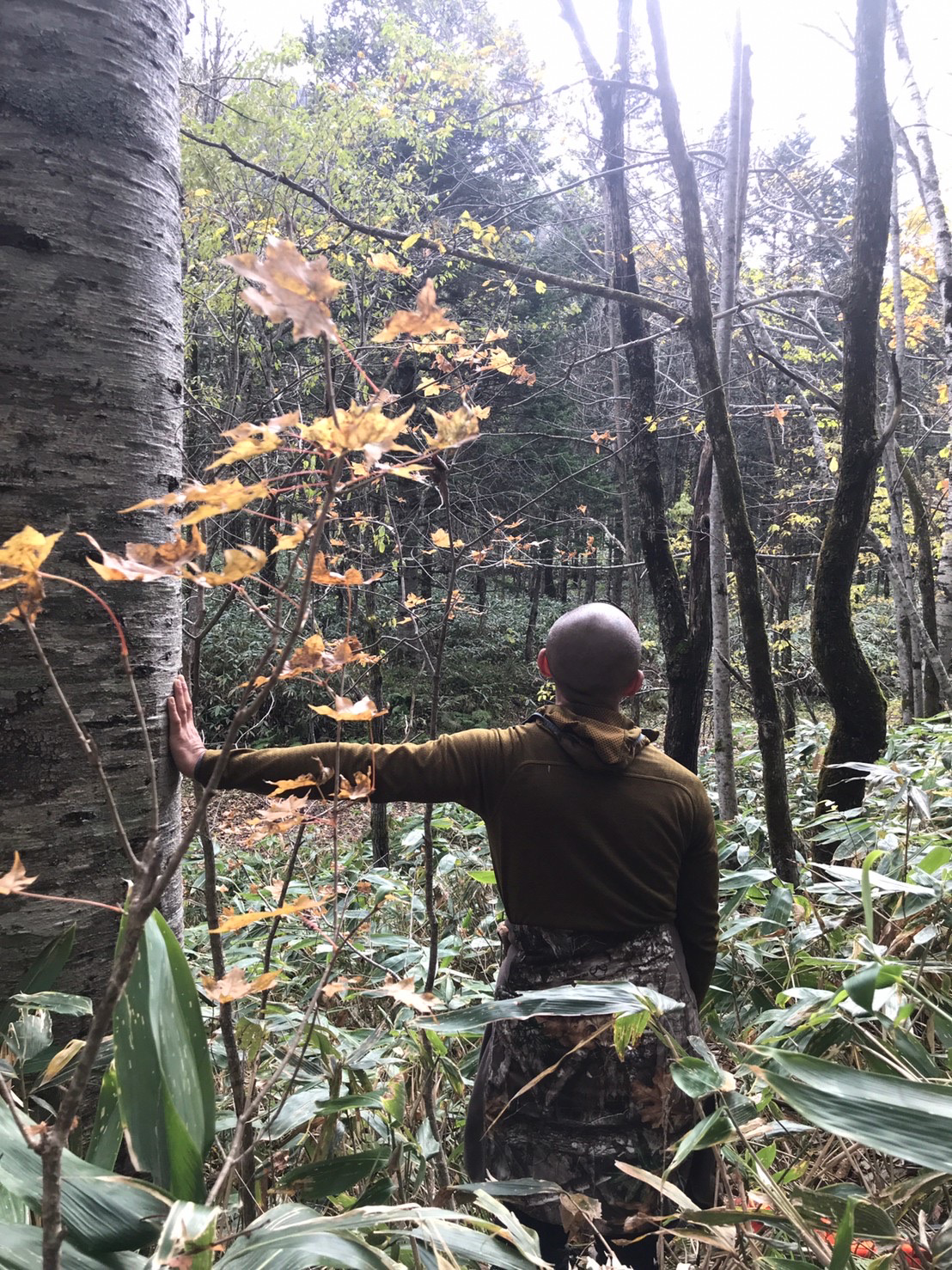 単独忍びヒグマ猟記　結