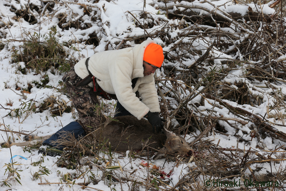 殺したものを救う