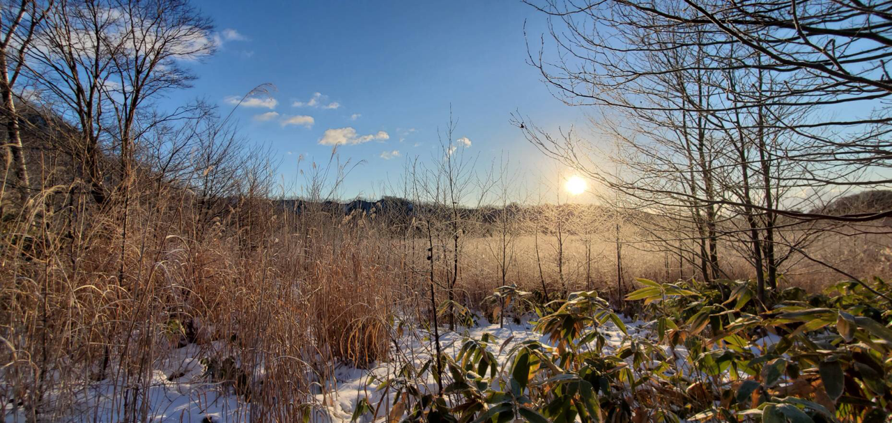 ミネラル・エア