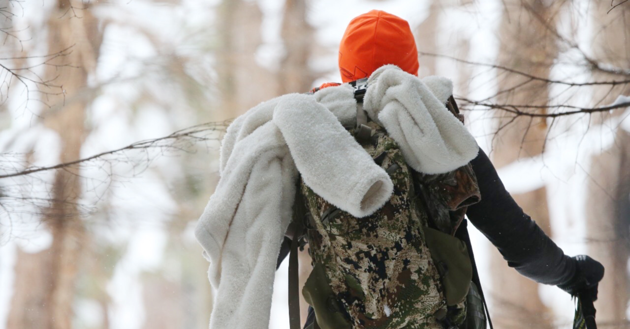 三つの “Shoot”