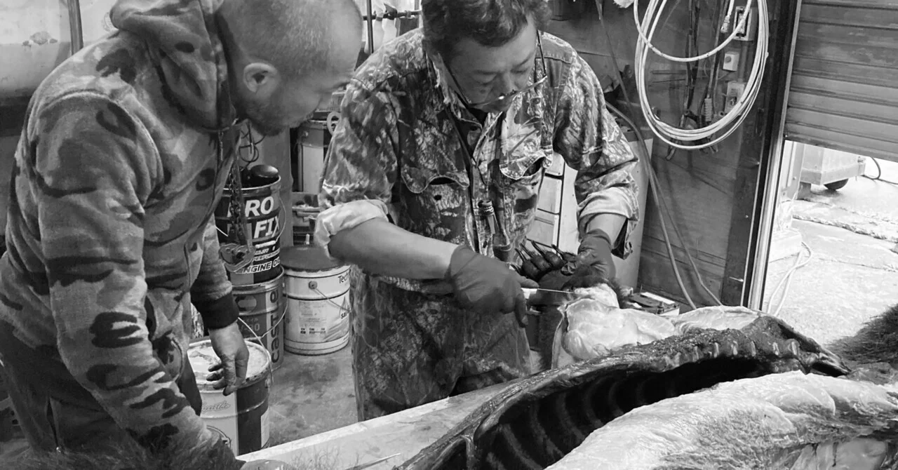 単独忍びヒグマ猟記　解