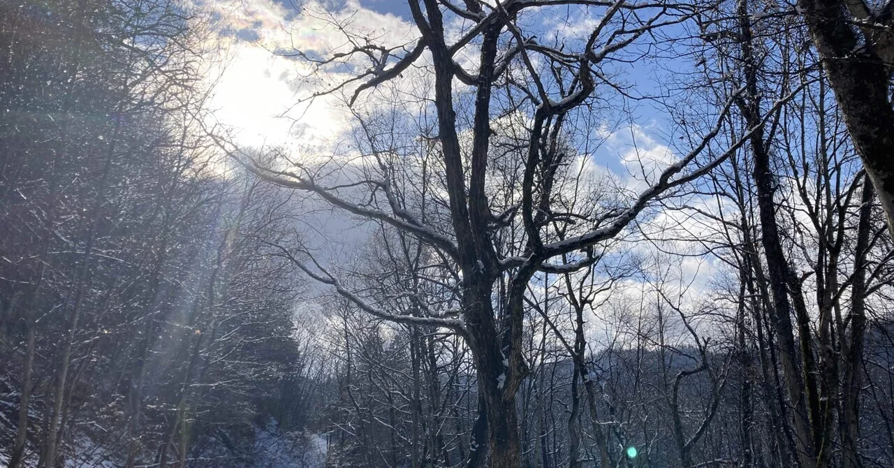 『△→◯』　或いは狩猟における欲求五段階説の考察 〜後編〜