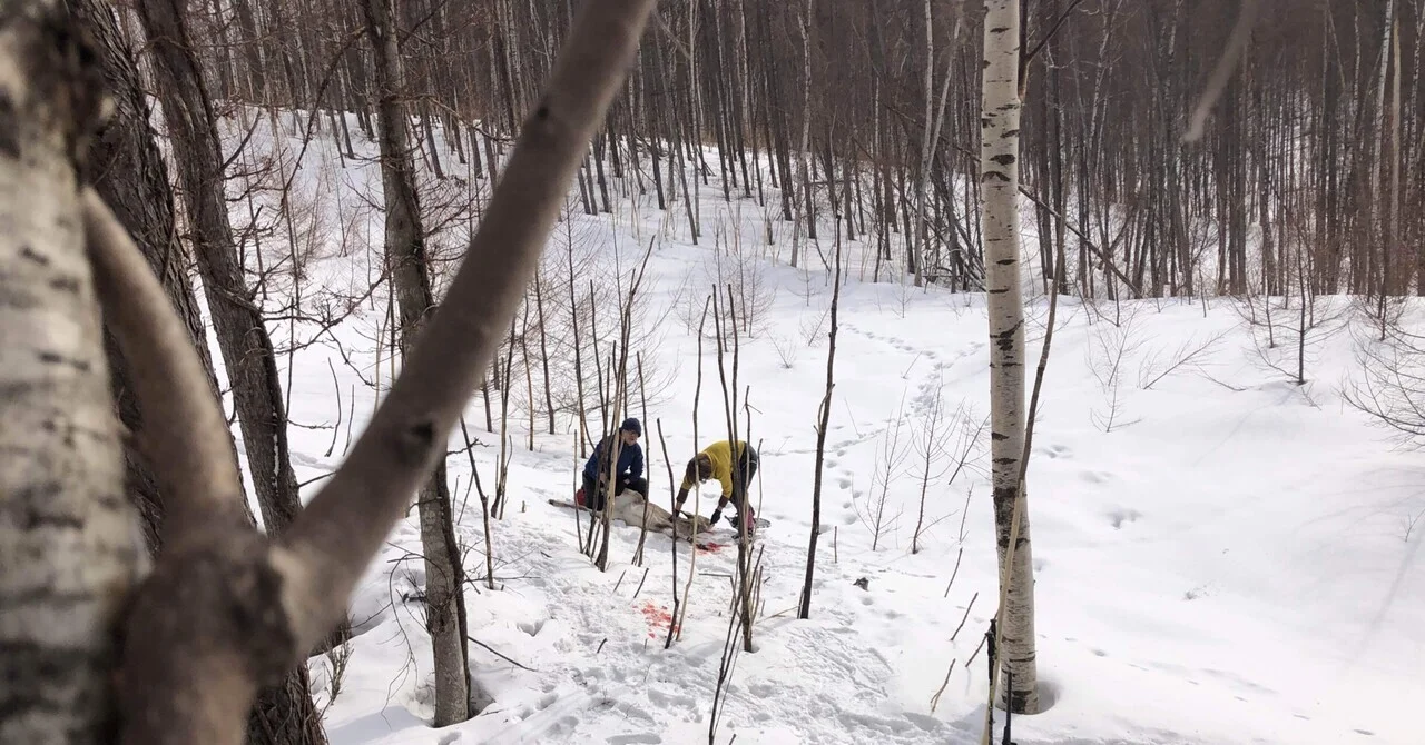 ゆく川の流れは絶えずして